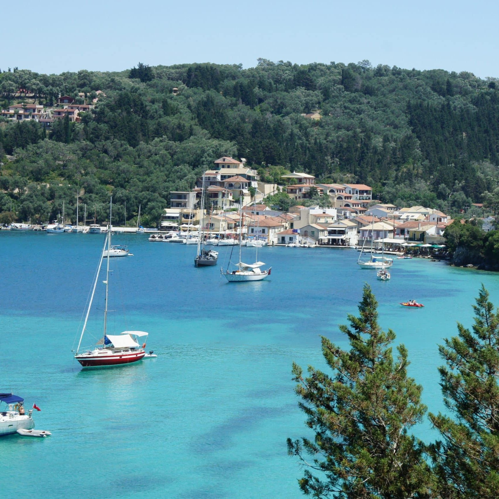 Paxos & Anti Paxos
